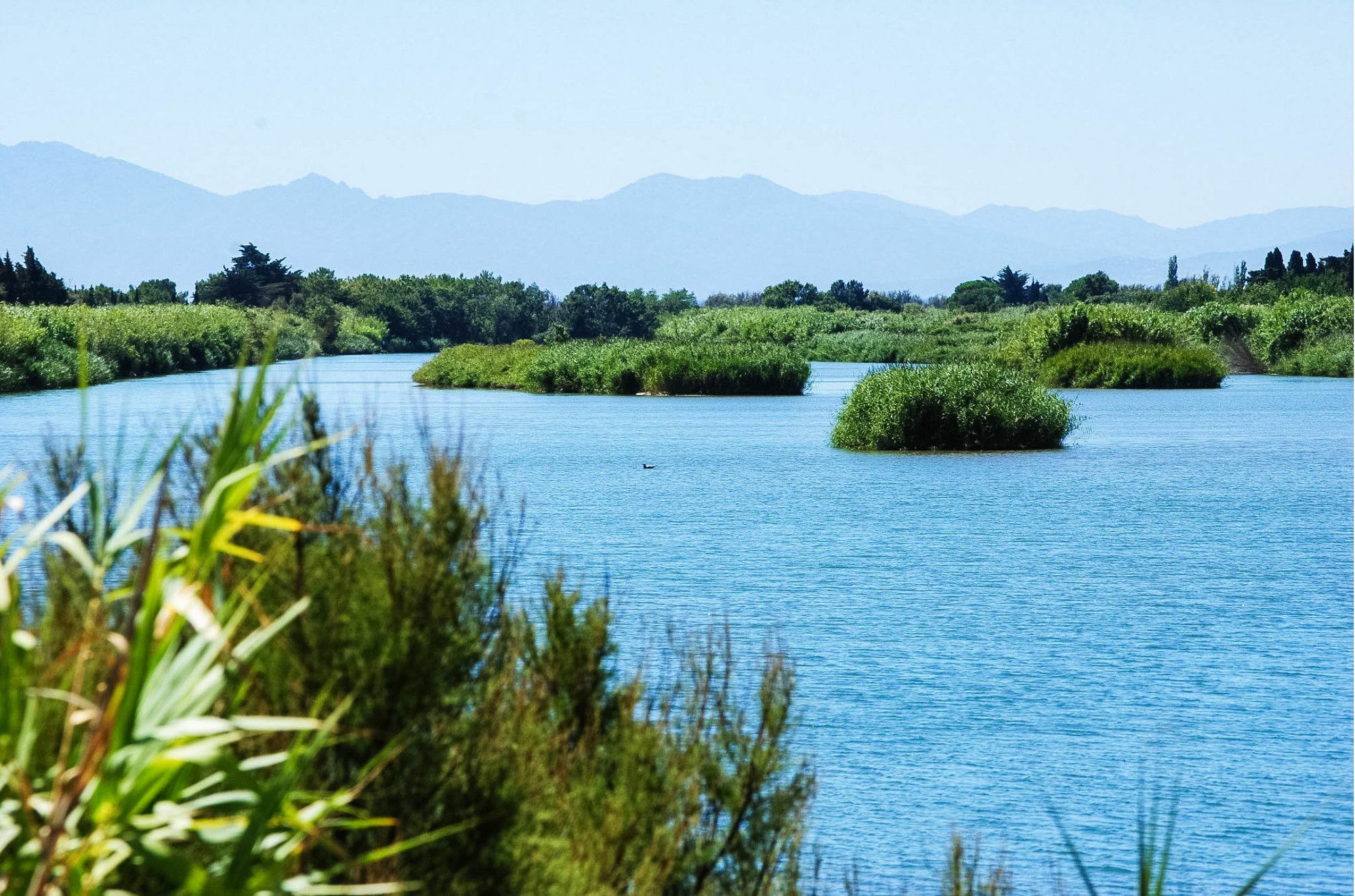 Ibis Styles Perpignan Canet En Roussillon Dış mekan fotoğraf